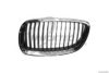 TRUCKTEC AUTOMOTIVE 08.62.221 Radiator Grille